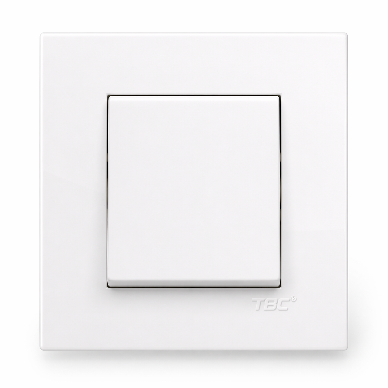 TBC 1 Gang 1 Way Switch ( B8-101 ) B-Series