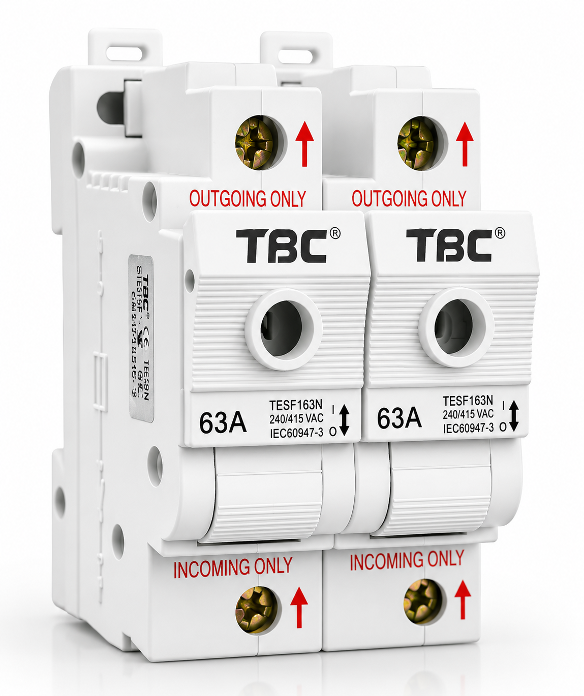 TSF-163N 2P 63A Switch Fuse (50kA)