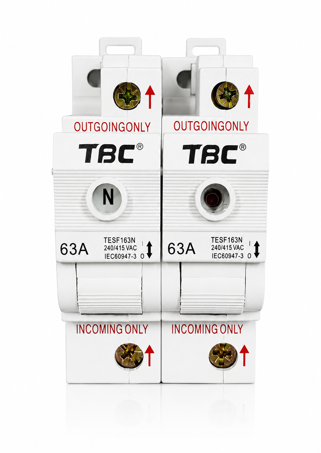 TSF-163N 2P 63A Switch Fuse (50kA)