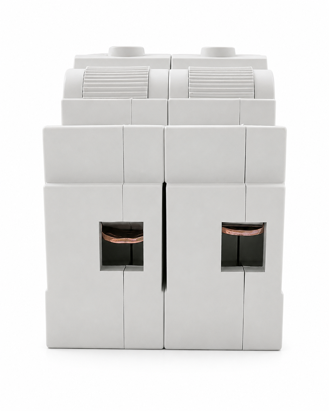 TSF-163N 2P 63A Switch Fuse (50kA)