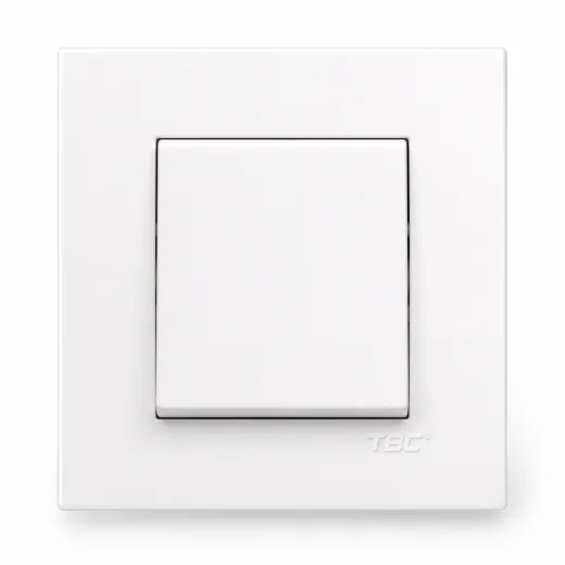 TBC 1 Gang 2 Way Switch ( B8-102 ) B-Series