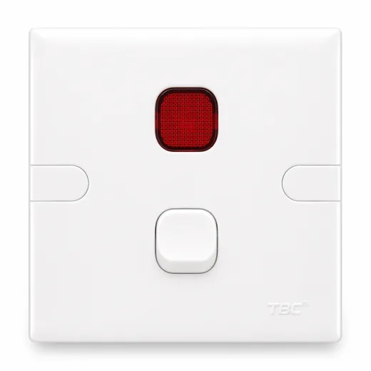 TBC 1 Gang 20A Double Pole Switch with Neon Indicator Heater / Aircond Switch ( T1-120 )